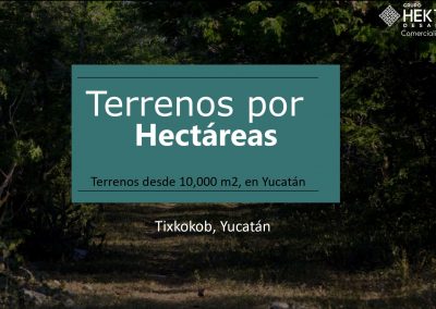 Terrenos por Hectáreas Tixkokob, Yucatán